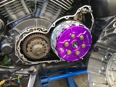 Barnett XV 1700 Andi (31).JPG